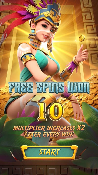betboom