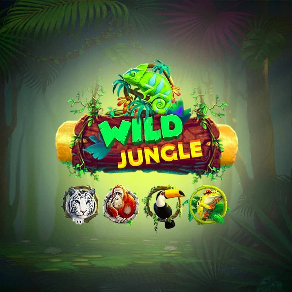 5kbet login